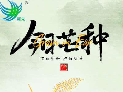 芒種遇世界環(huán)境日 | 耕耘希望，守護蔚藍：耀先環(huán)境與您共赴綠色之約